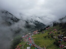 Ayder Altiparmak  Suit