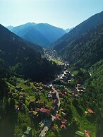 Ayder Altiparmak  Suit