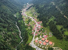 Ayder Altiparmak  Suit