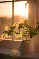 The Old Dairy Holiday Home