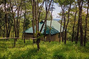 Mikumi Safari Lodge