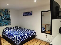 parrot house san antonio