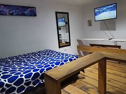 parrot house san antonio