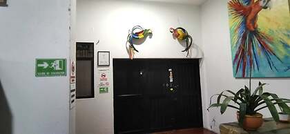 parrot house san antonio