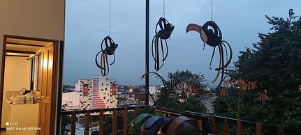 parrot house san antonio