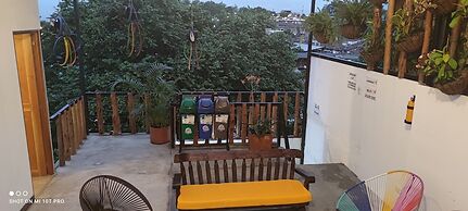 parrot house san antonio