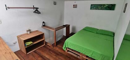 parrot house san antonio