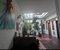 parrot house san antonio