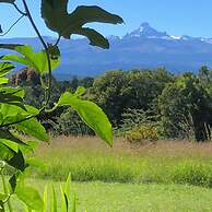Dream the days away - The Rustic Barn