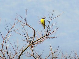 El Cielo Biohospedaje