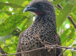 El Cielo Biohospedaje