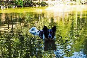 El Cielo Biohospedaje