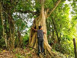 El Cielo Biohospedaje