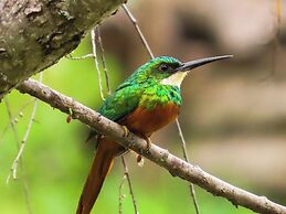 El Cielo Biohospedaje