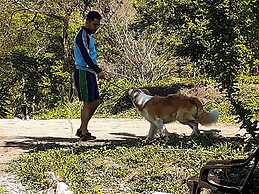 El Cielo Biohospedaje