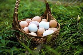 Upper Humber Settlement A FarmStay BNB