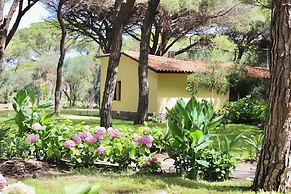 Residence with swimming-pool in Arborea