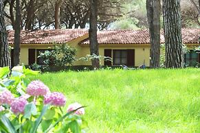 Residence with swimming-pool in Arborea