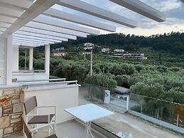 Luminous luxury apartments