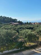 Luminous luxury apartments