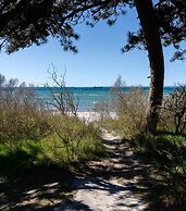 Beach Camp