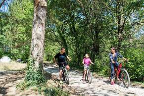 Camping le Luberon