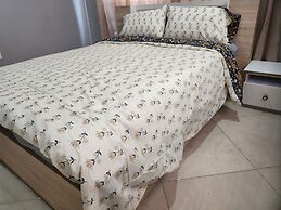 Spacious Luxury 3Bed Hse in Tema Netflix