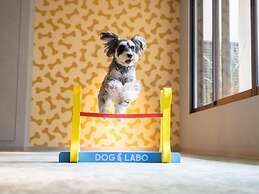 hotel anddoggy Kyoto Nijo