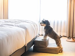 hotel anddoggy Kyoto Nijo