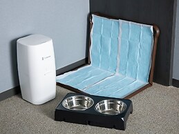 hotel anddoggy Kyoto Nijo