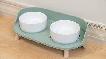 Yeosu Canada meo Village pet Pension