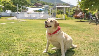 Yeosu Canada meo Village pet Pension