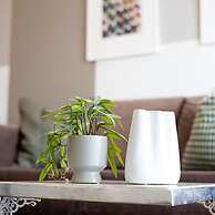 Luxury Beachfront 2-bedroom Stay in Voula