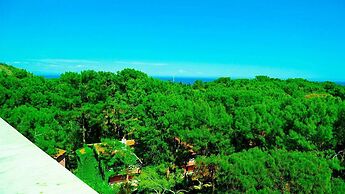 Festival Nature Hotel