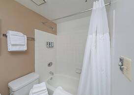 Premium A-Location Apartment