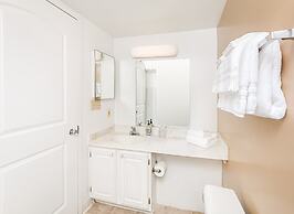 Premium A-Location Apartment