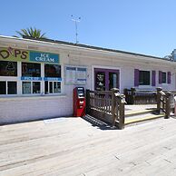 Runaway Tropical Waves-pet Friendly