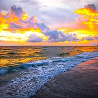 Runaway Tropical Waves-pet Friendly