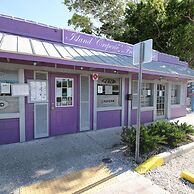 Runaway Tropical Waves-pet Friendly