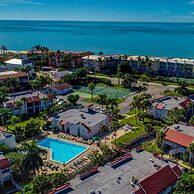 Runaway Tropical Waves-pet Friendly