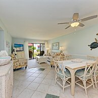 Runaway Tropical Waves-pet Friendly