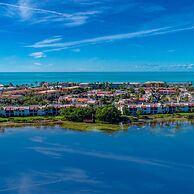 Runaway Tropical Waves-pet Friendly