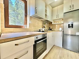 Central apartments Surina