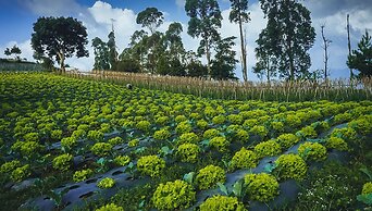 Snow Princess Mountain Glamping Resort at Clubbali, Lembang