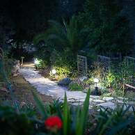 Nature Inspired Villa Designed for Wellness