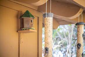 Nature Inspired Villa Designed for Wellness