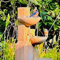 Nature Inspired Villa Designed for Wellness