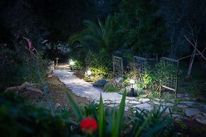 Nature Inspired Villa Designed for Wellness