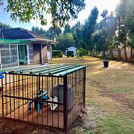 Exquisite 3 bed With Pool and Solar - 2238