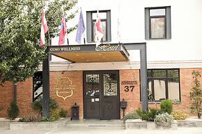 Hotel Gino Wellness Mtskheta